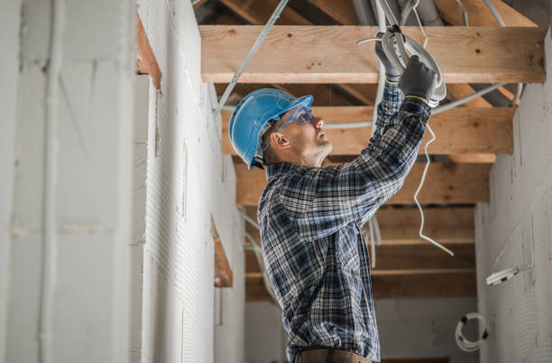 Best Electric Panel Repair  in Braddock Heights, MD
